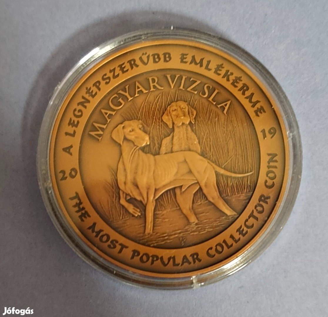 Vizsla látogatói érem