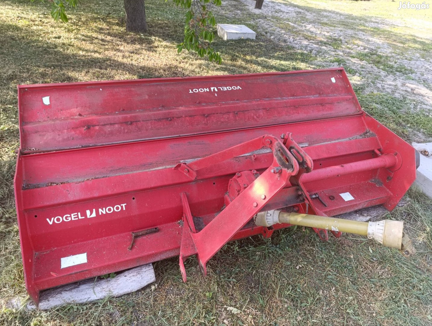 Vogel Noot szarzúzó 