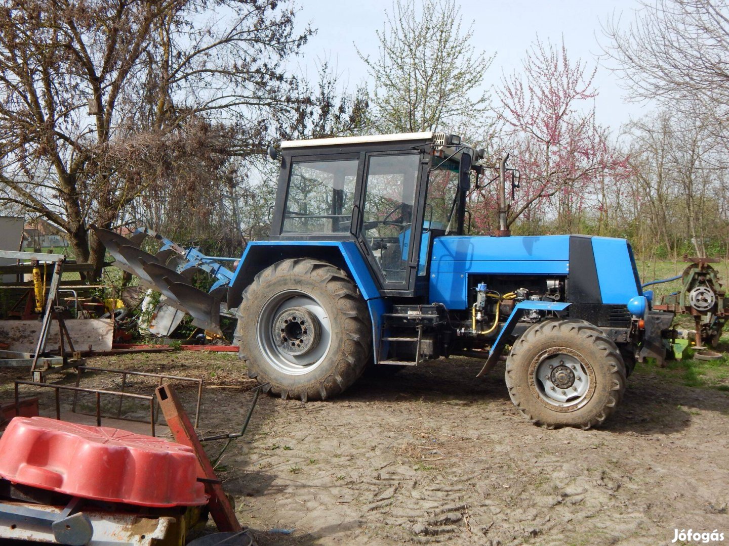 Vogel noot eke 4 fejes