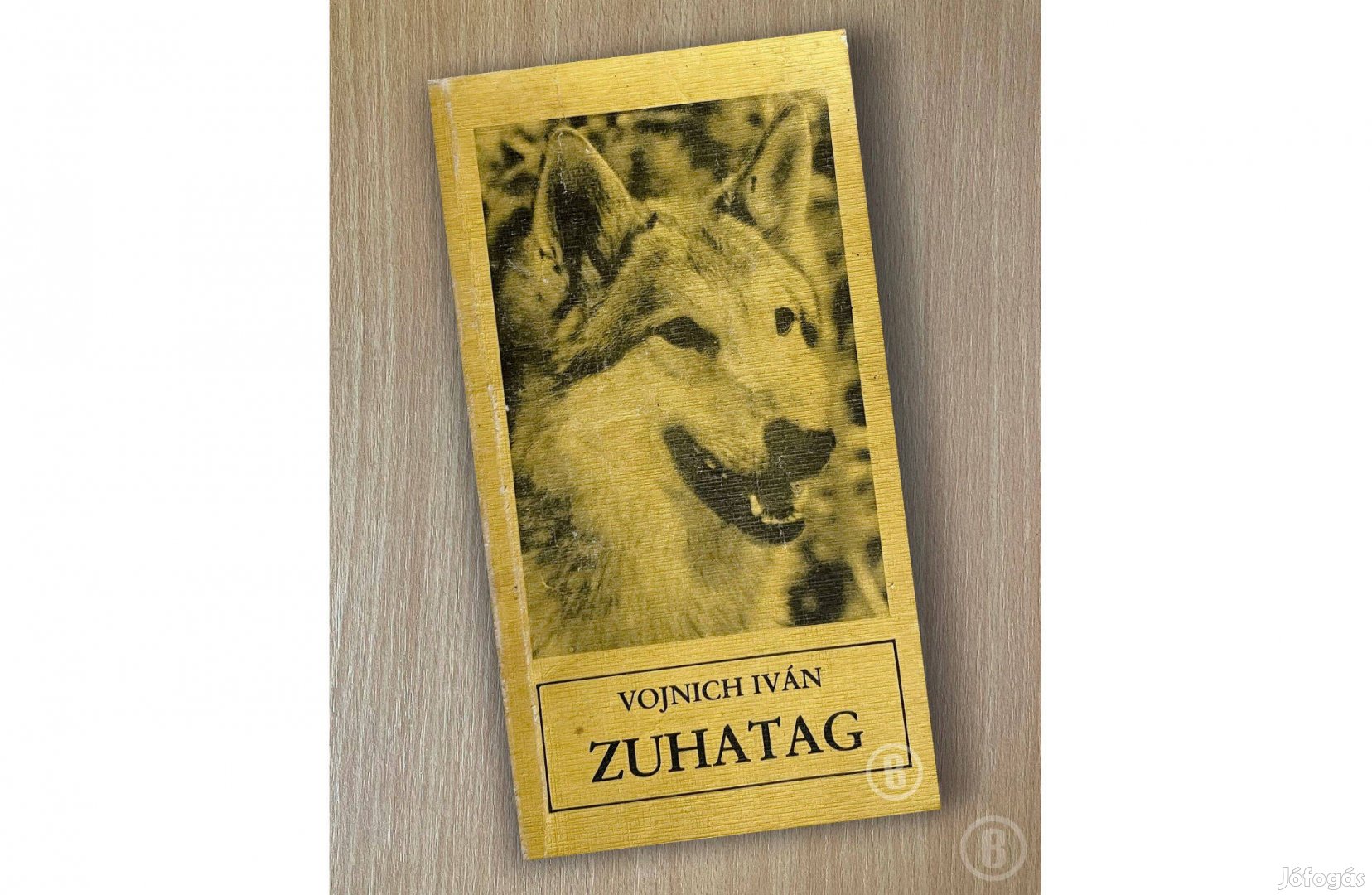 Vojnich Iván: Zuhatag