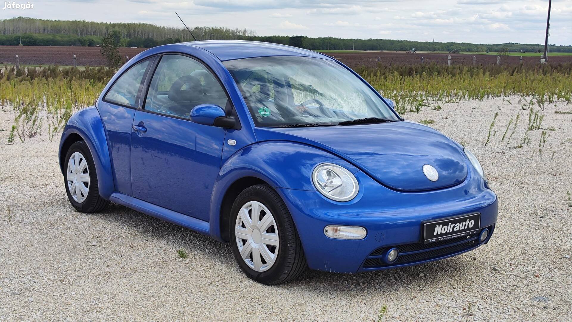 Volkswagen Beetle 1.9TDI En Vogue