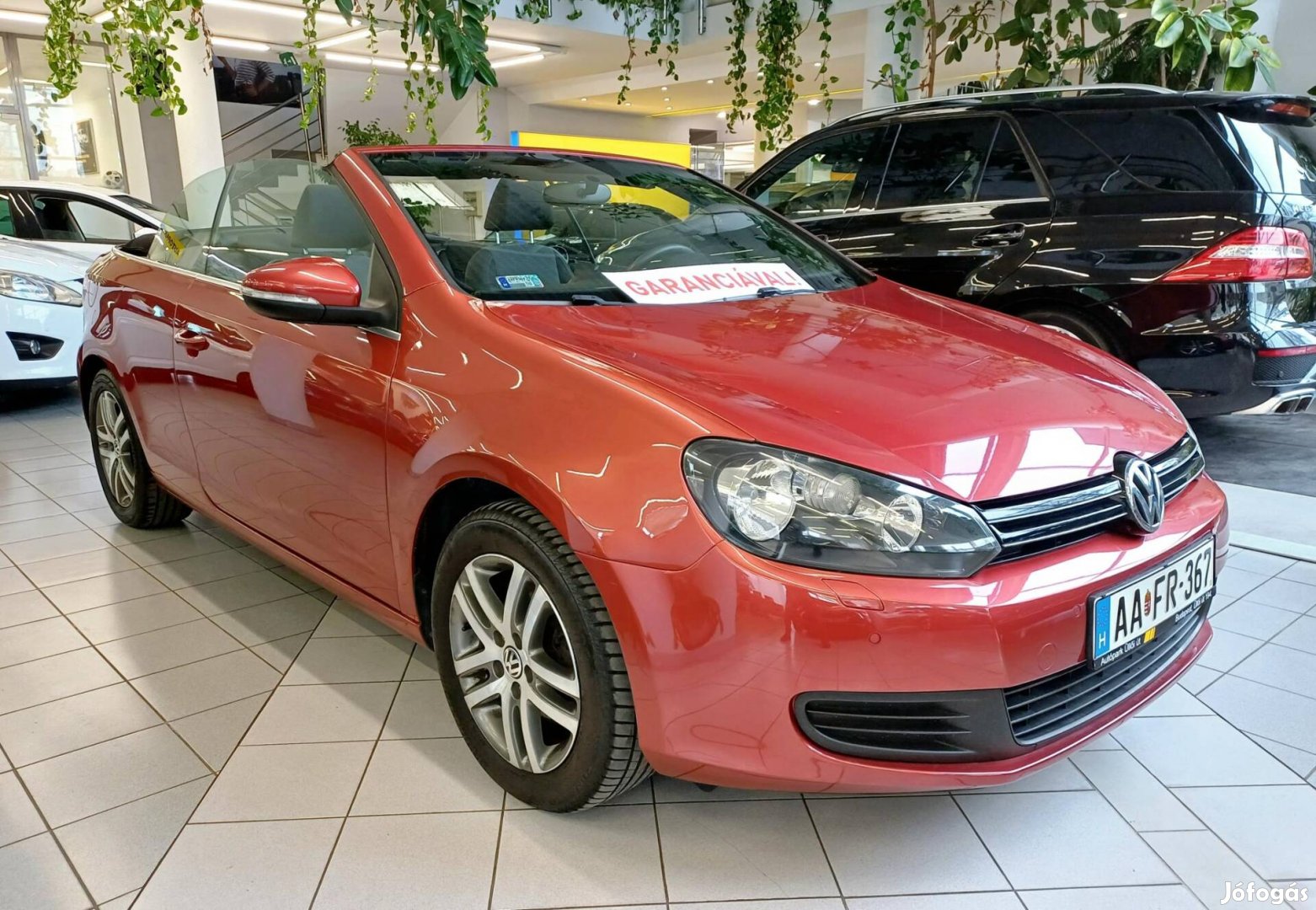 Volkswagen Golf VI 1.6 CR TDI Perfekt Cabrio. D...
