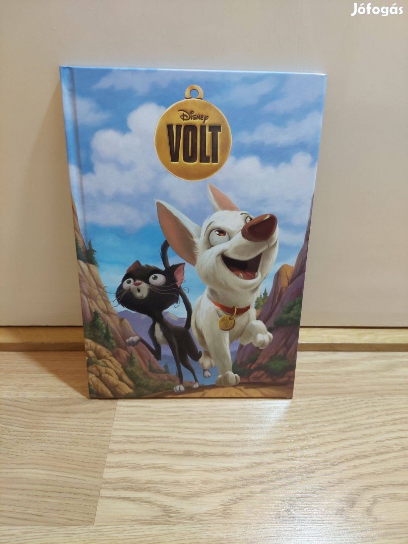 Volt Disney mesekönyv, gyerek könyv