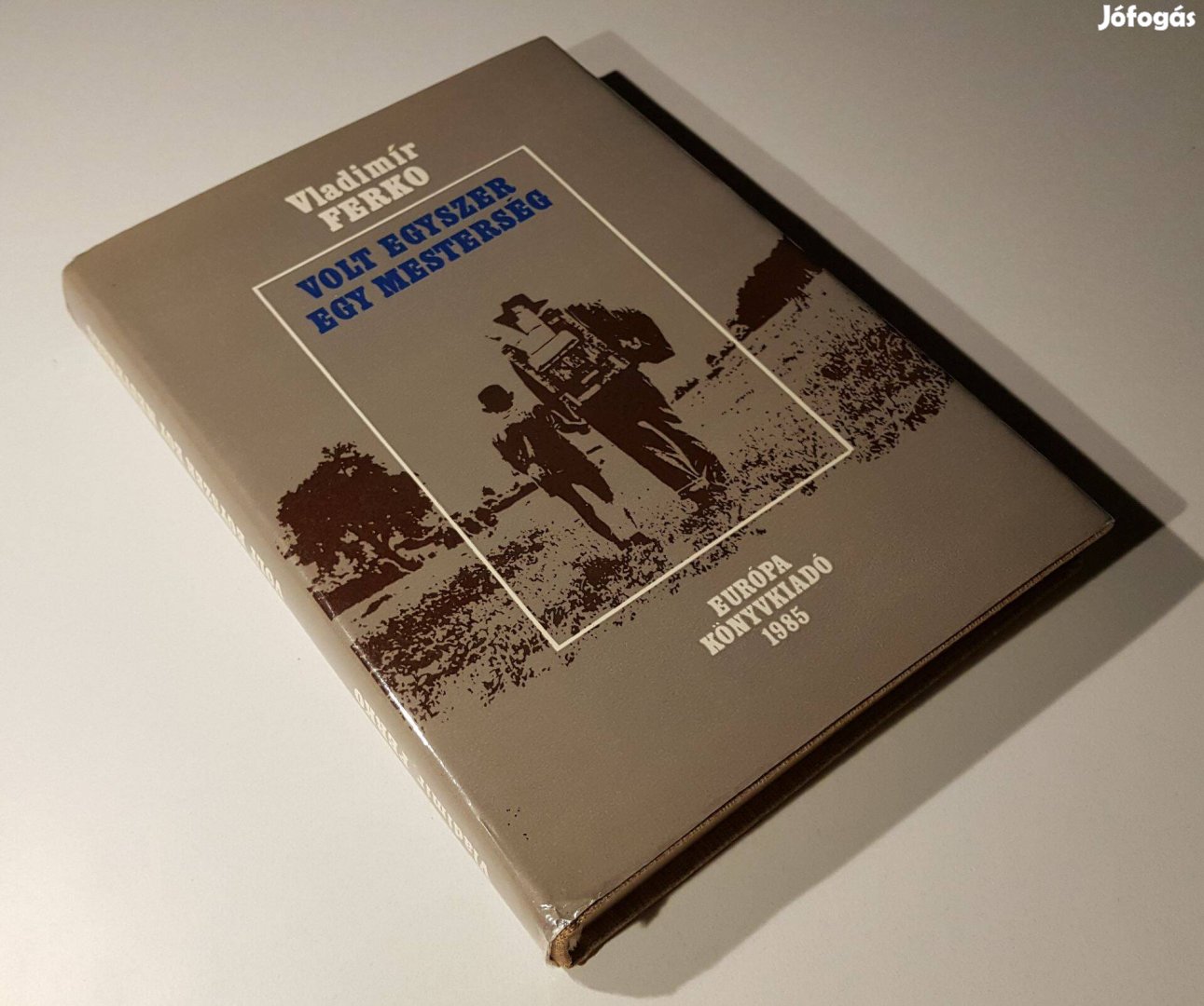 Volt egyszer egy mesterség - A drótosok története (Vladimír Ferko)