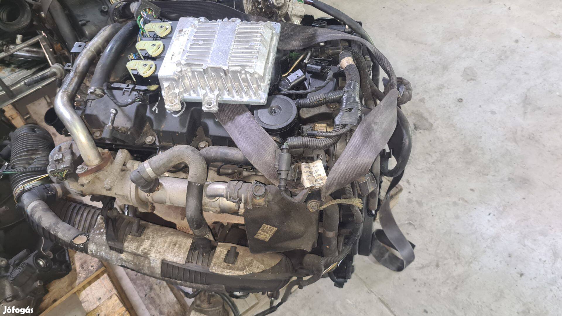 Volvo 2.0 D Motor D4204T