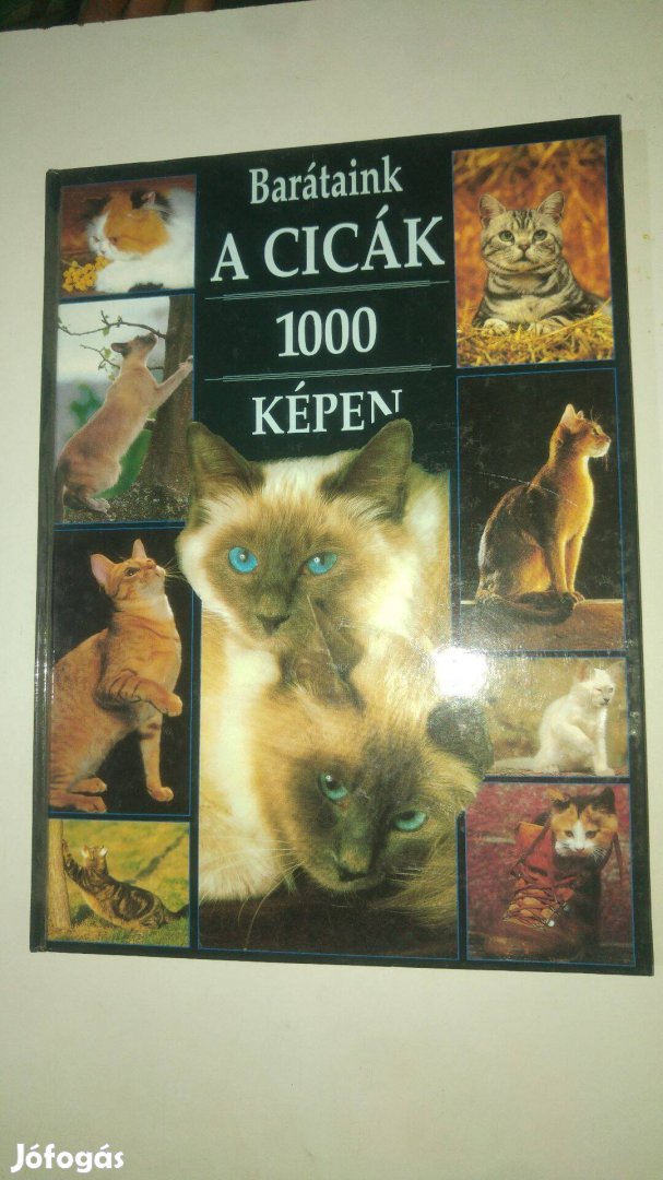 Vörös Zsófia Barátaink a cicák 1000 képen