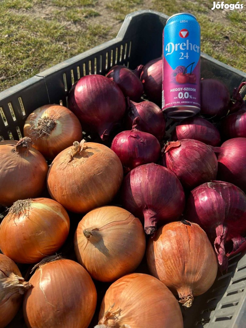 Vörös és lilahagyma eladó
