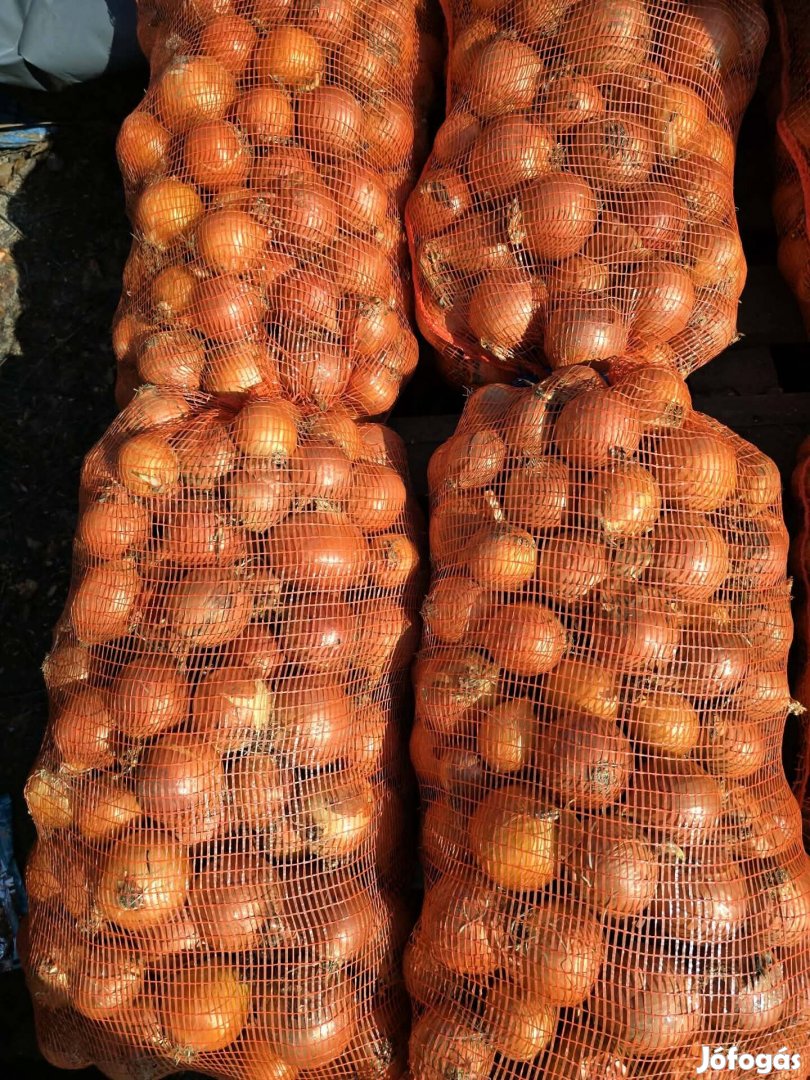 Vörös hagyma illetve Lila hagyma