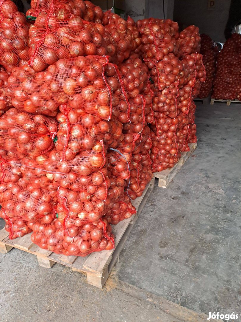 Vöröshagyma több méretben