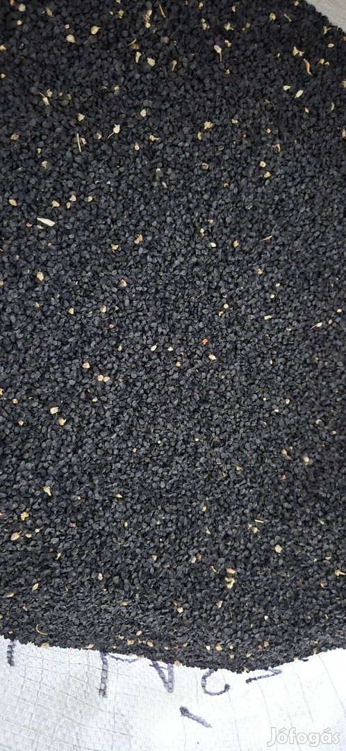 Vöröshagyma vető mag