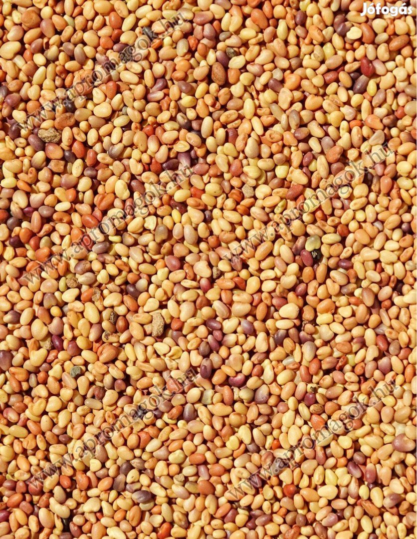 Vöröshere mag, Lóhere Mag Eladó Postai Utánvéttel