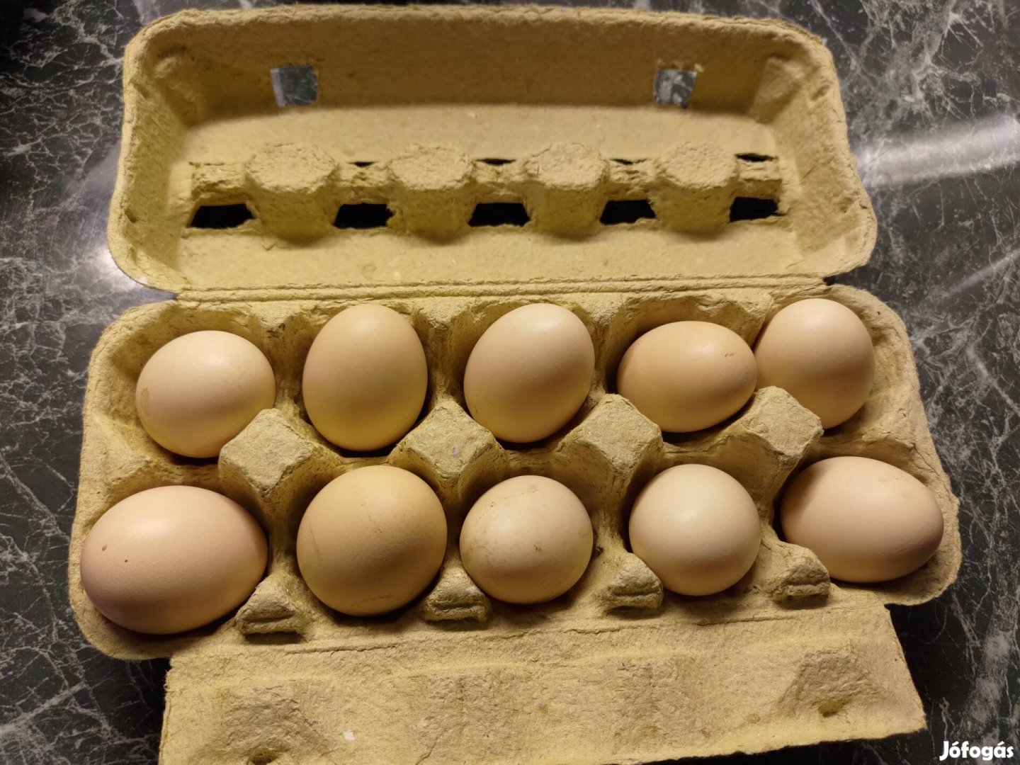 Vorwerk keltetni való tojás