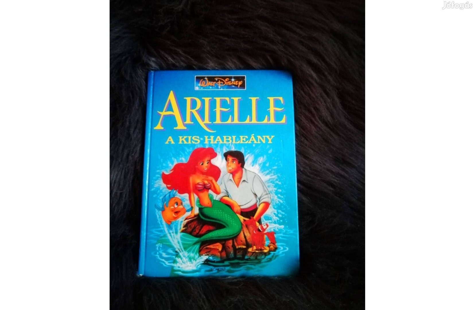 WALT Disney : Arielle A KIS Hableány " B" sorszámozott mesekönyv