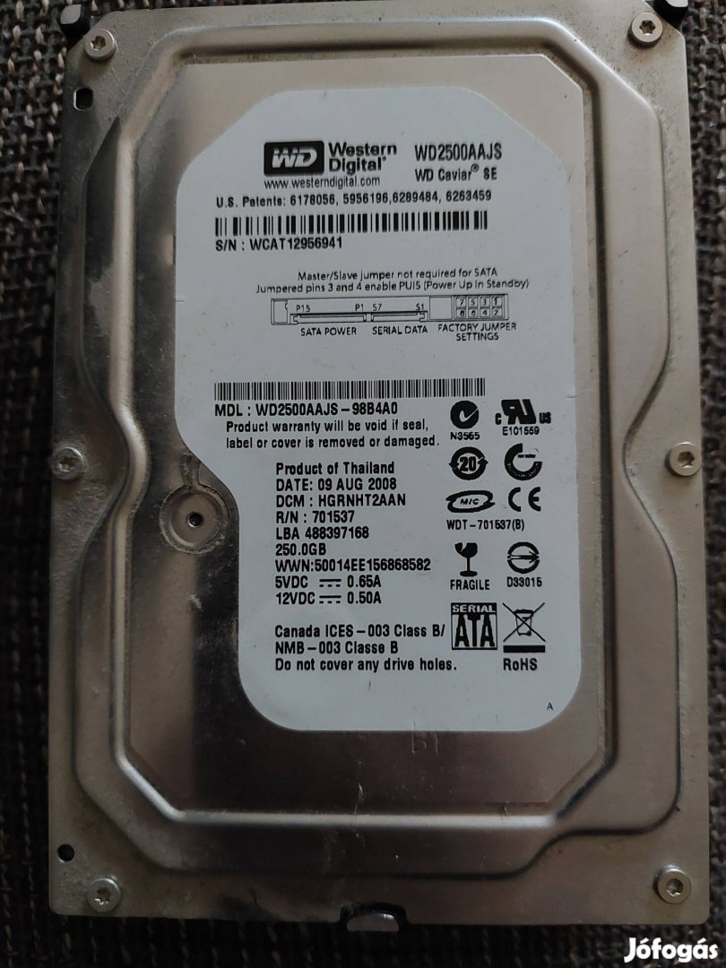 WD 250 GB merevlemez