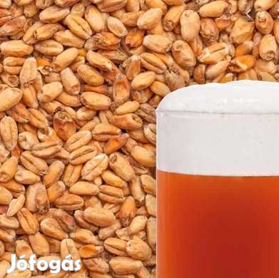 WHEAT DARK Búzamaláta 10 dkg  15 EBC (1739)