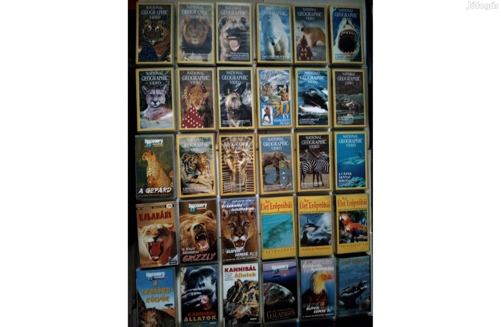 WHS Video Természet Kazetták