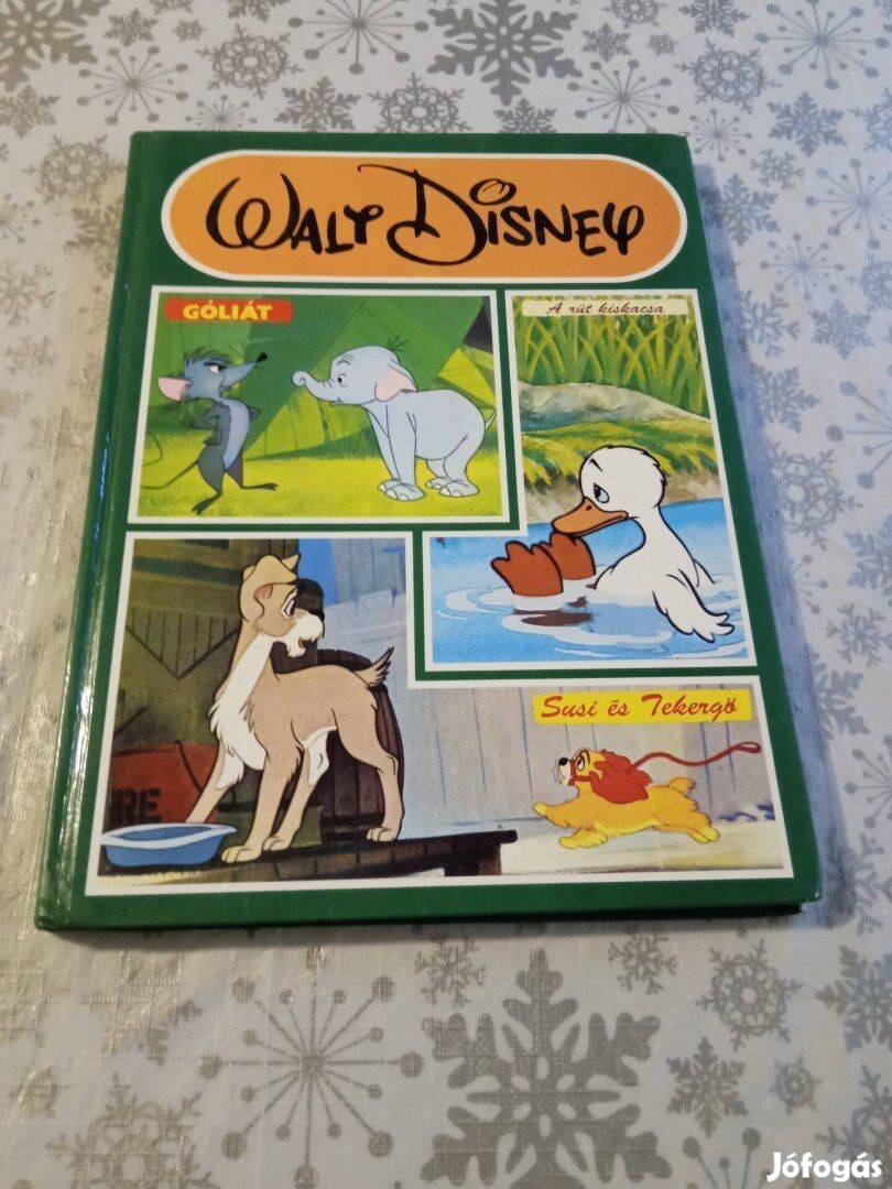 Walt Disney mesekönyv