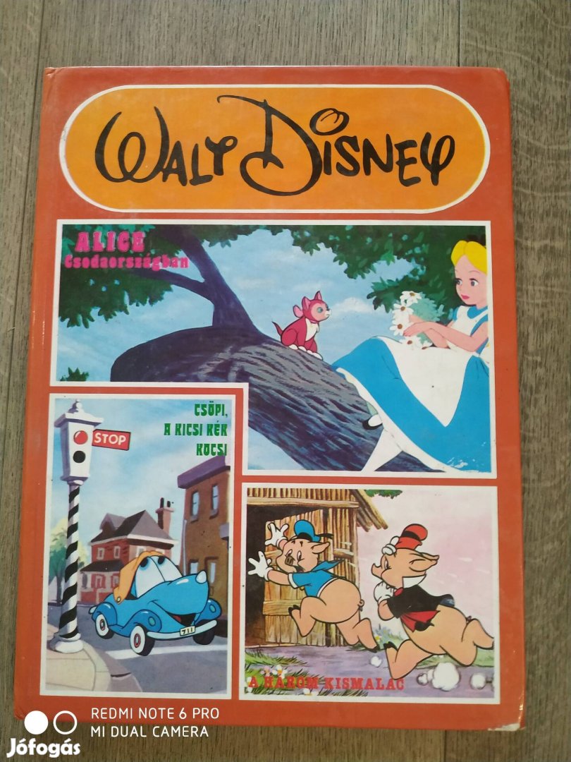 Walt Disney mesekönyv.