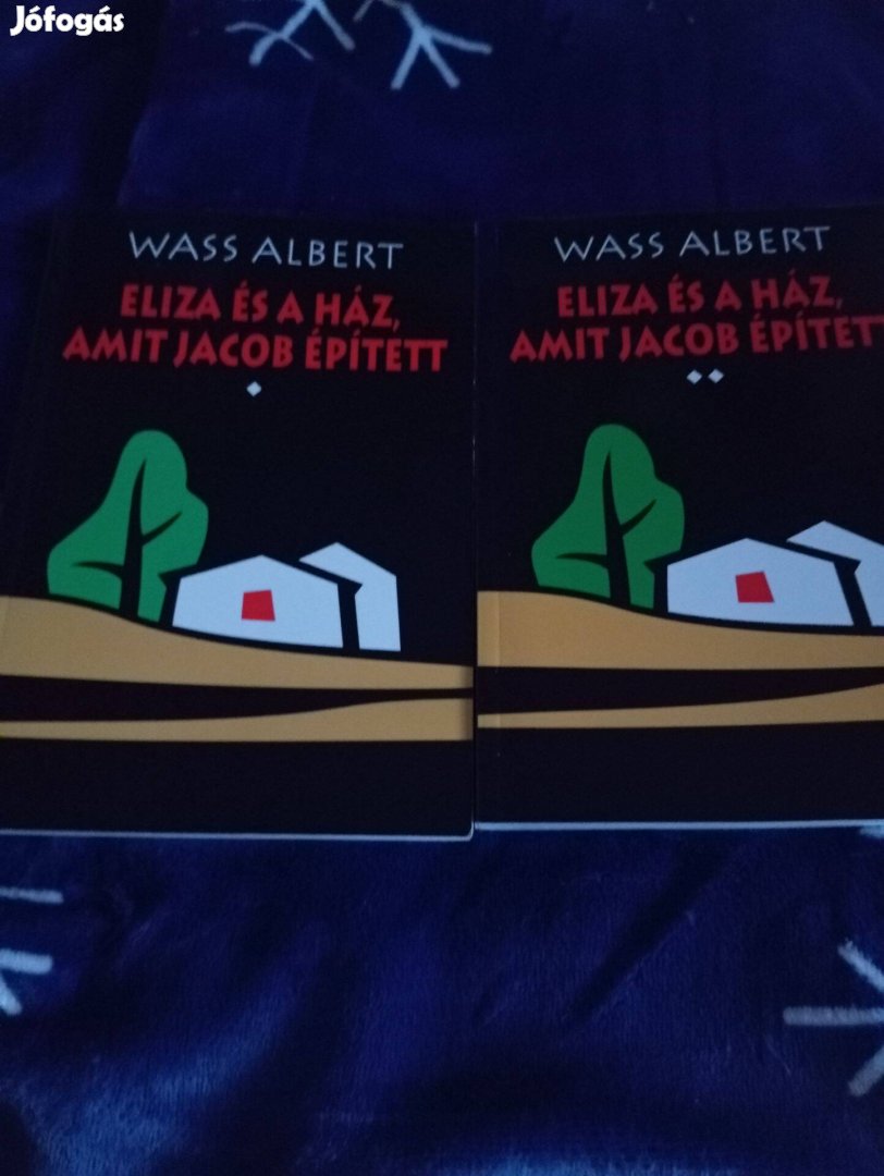 Wass Albert: Eliza és a ház, amit Jacob épített 1-2