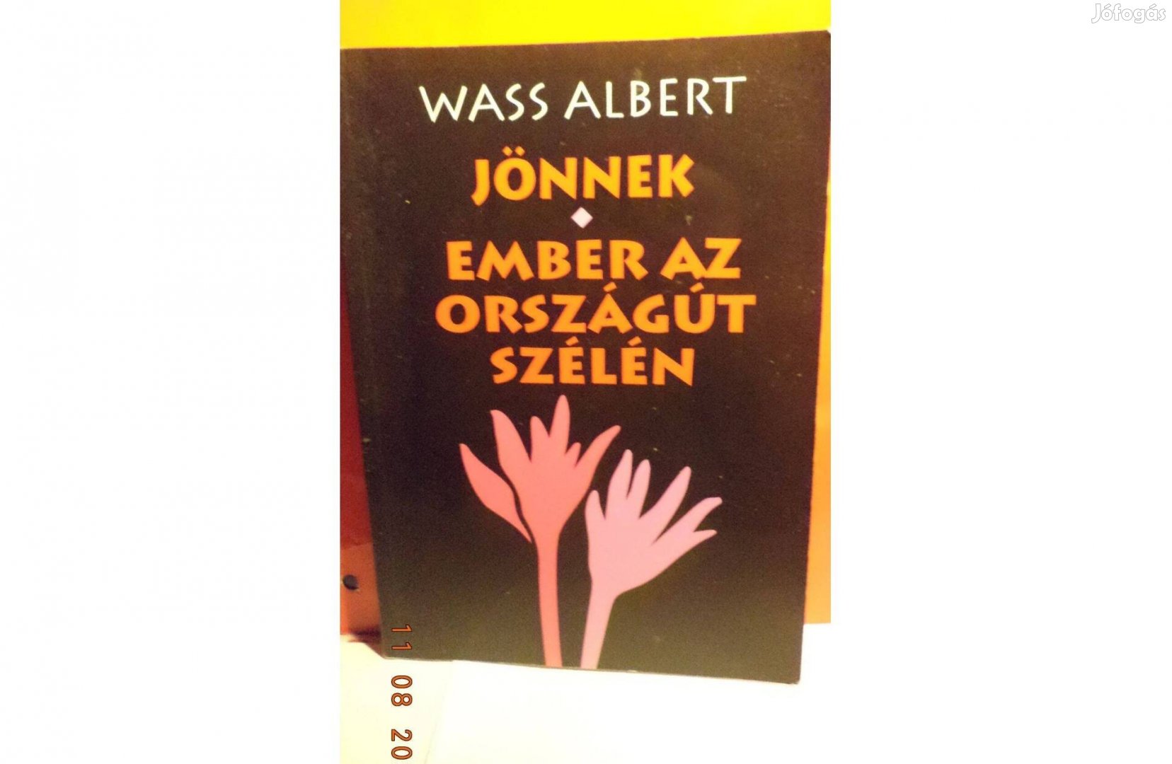 Wass Albert: Jönnek - Emberek az országút szélén