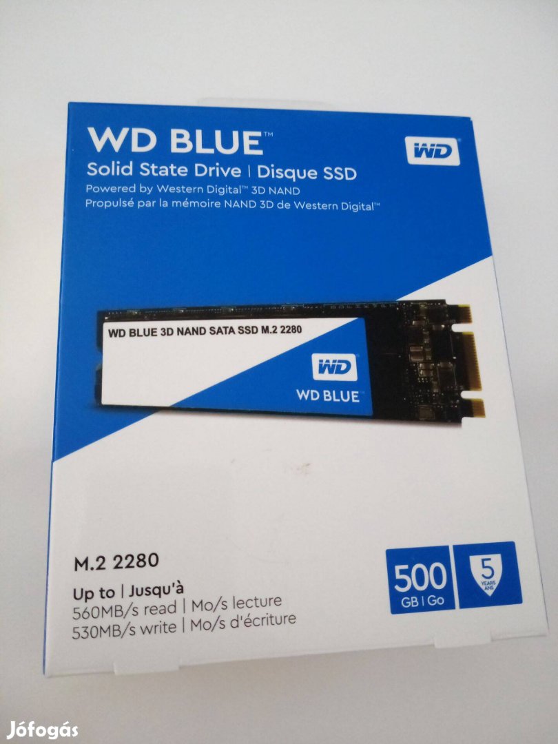 Wds500g2b0b 500gb m.2 ssd