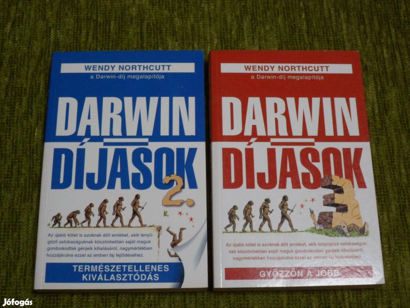 Wendy Northcutt Darwin-díjasok 2-3. - fura halálok