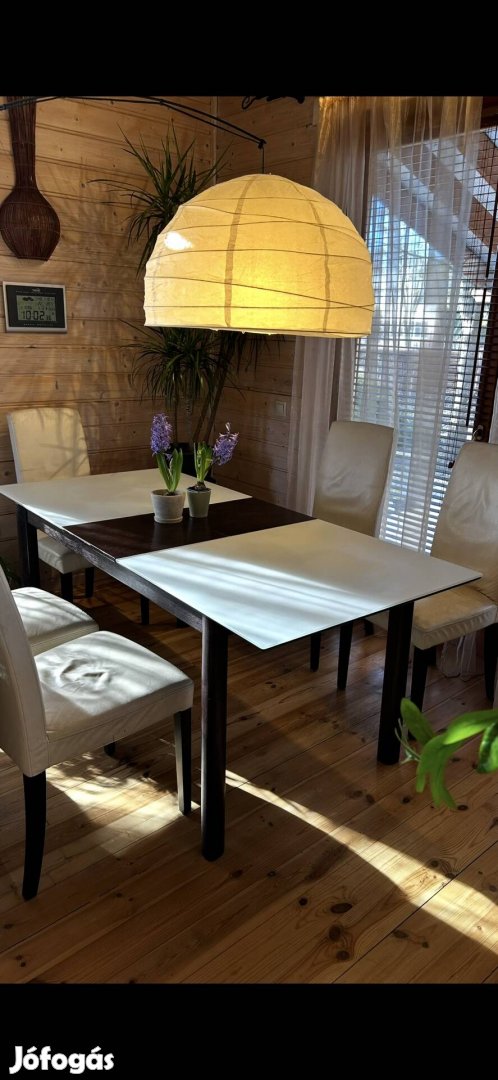 Wenge furnér-tejüveg ebédlő asztal kinyitható