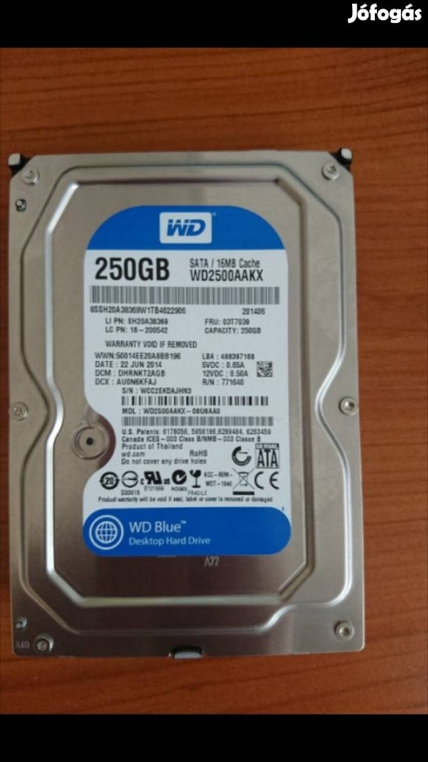 Western Digital Caviar Blue 250GB HDD