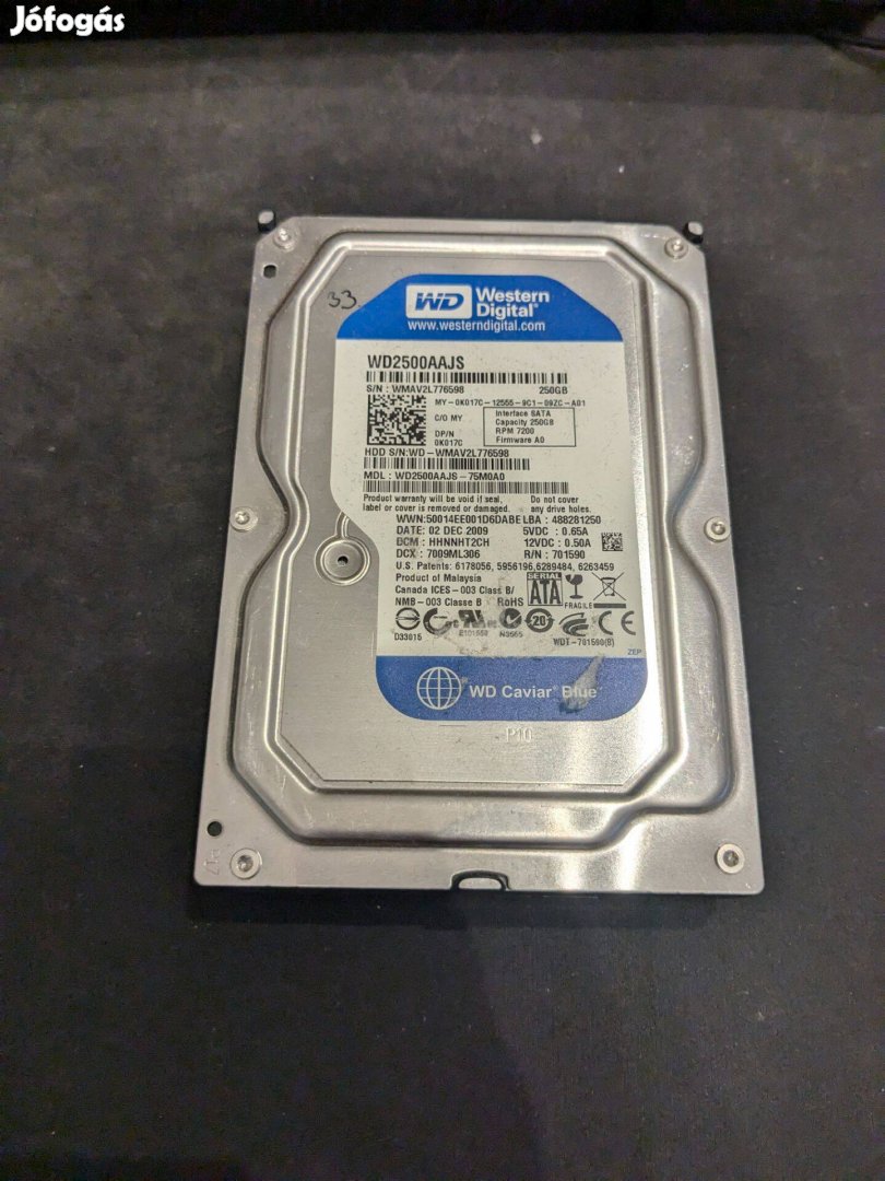 Western Digital WD2500Aajs HDD merevlemez SATA 100/100 250 GB 3,5"