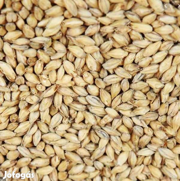 Weyerman Bohemian Pilsner maláta  Weyermann 3 EBC 10 dkg  (1725)