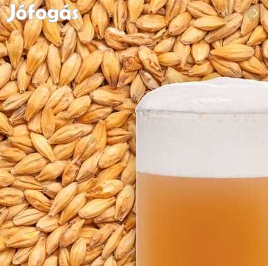 Weyermann Búzamaláta 3 EBC 1 Kg (047)