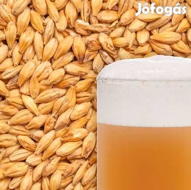 Weyermann Búzamaláta 3 EBC 1 Kg (047)