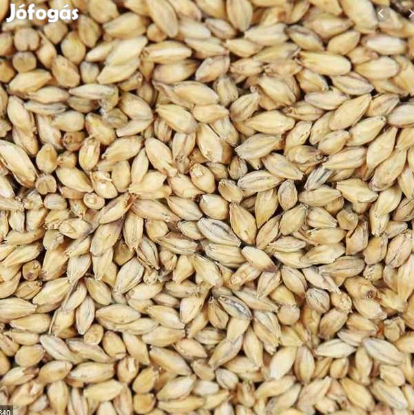 Weyermann  Extra Prémium Pilsner  maláta 2 EBC  1kg  (043)