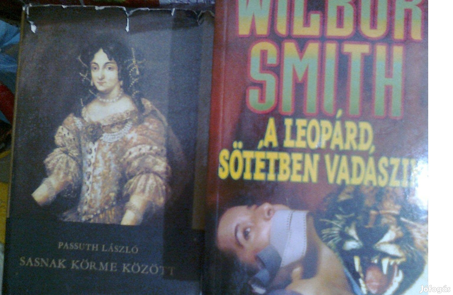 Wilbor A leopárd sötétben vadászik - Passuth Sasnak körme