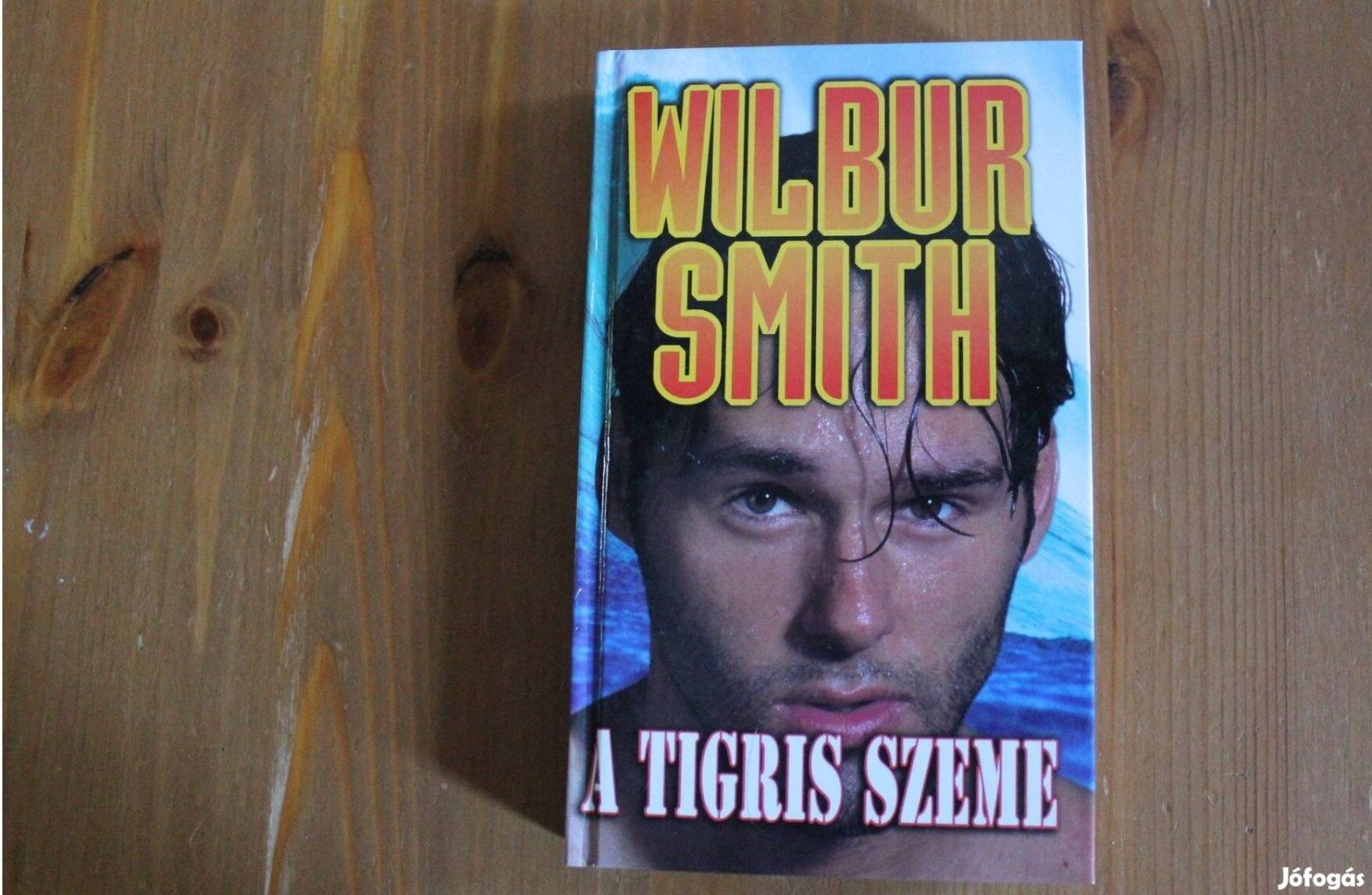 Wilbur Smith - A tigris szeme