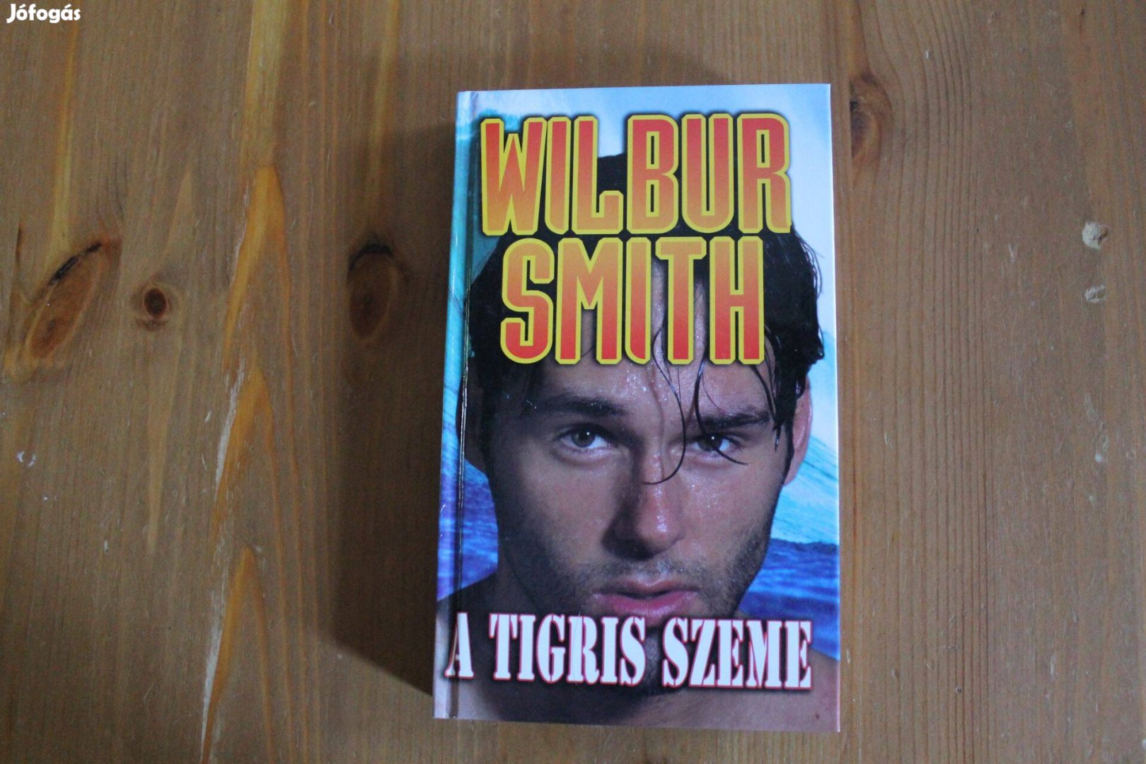 Wilbur Smith - A tigris szeme