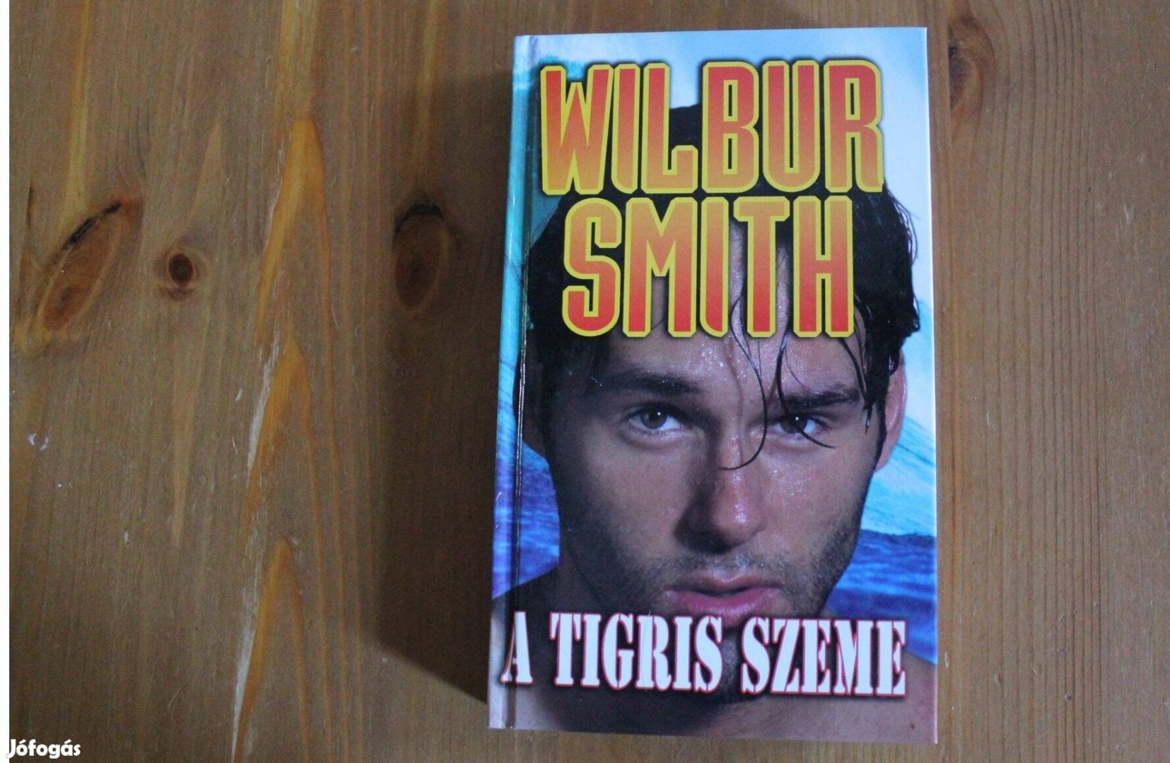Wilbur Smith - A tigris szeme