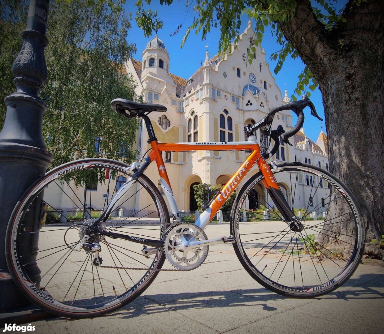 Wilier Gladio, (54cm) országúti kerékpár