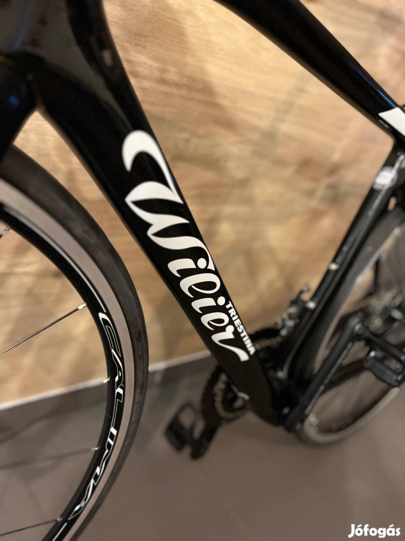 Wilier Triestina GTR Team