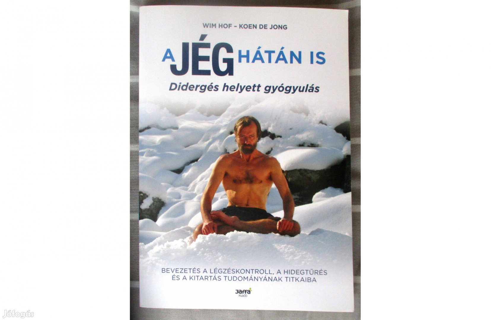 Wim Hof, Koen De Jong: A jég hátán is - Didergés helyett gyógyulás