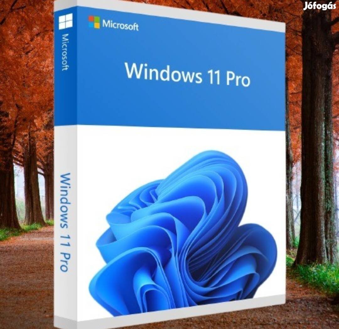 Windows 11 Pro kulcs