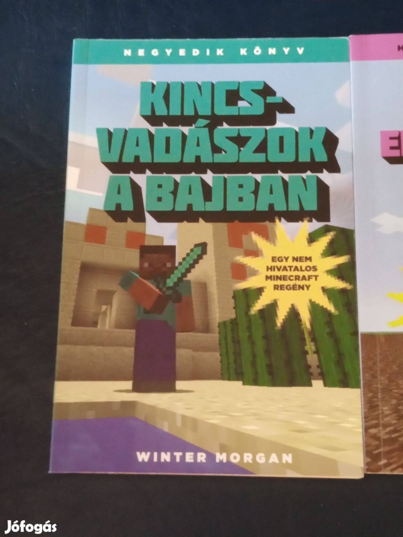 Winter Morgan - Kincsvadászok a bajban Egy nem hivatalos