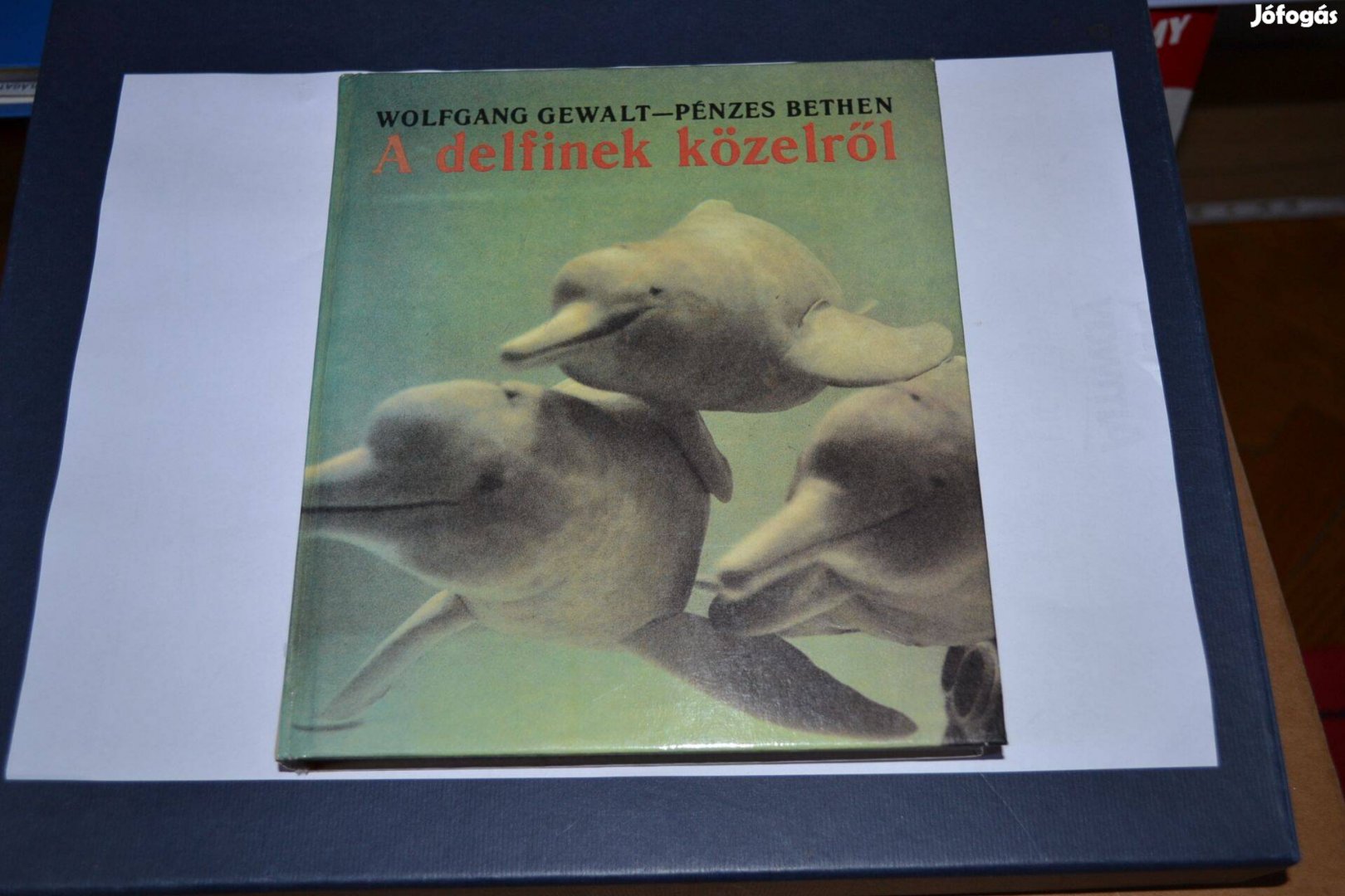 Wolfgang Gewalt Pénzes Bethen A delfinek közelről Delfin könyv