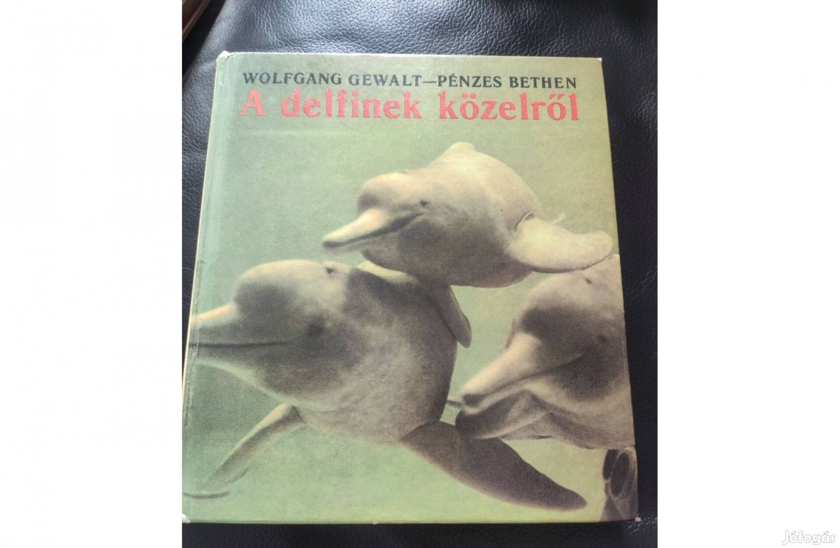 Wolfgang Gewalt- Pénzes Bethen : A delfinek közelről