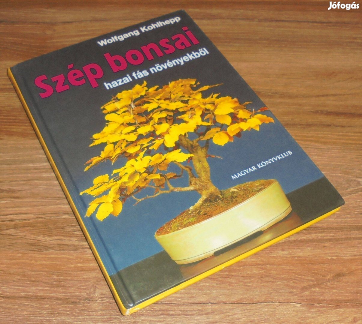 Wolfgang Kohlhepp: Szép bonsai hazai fás növényekből