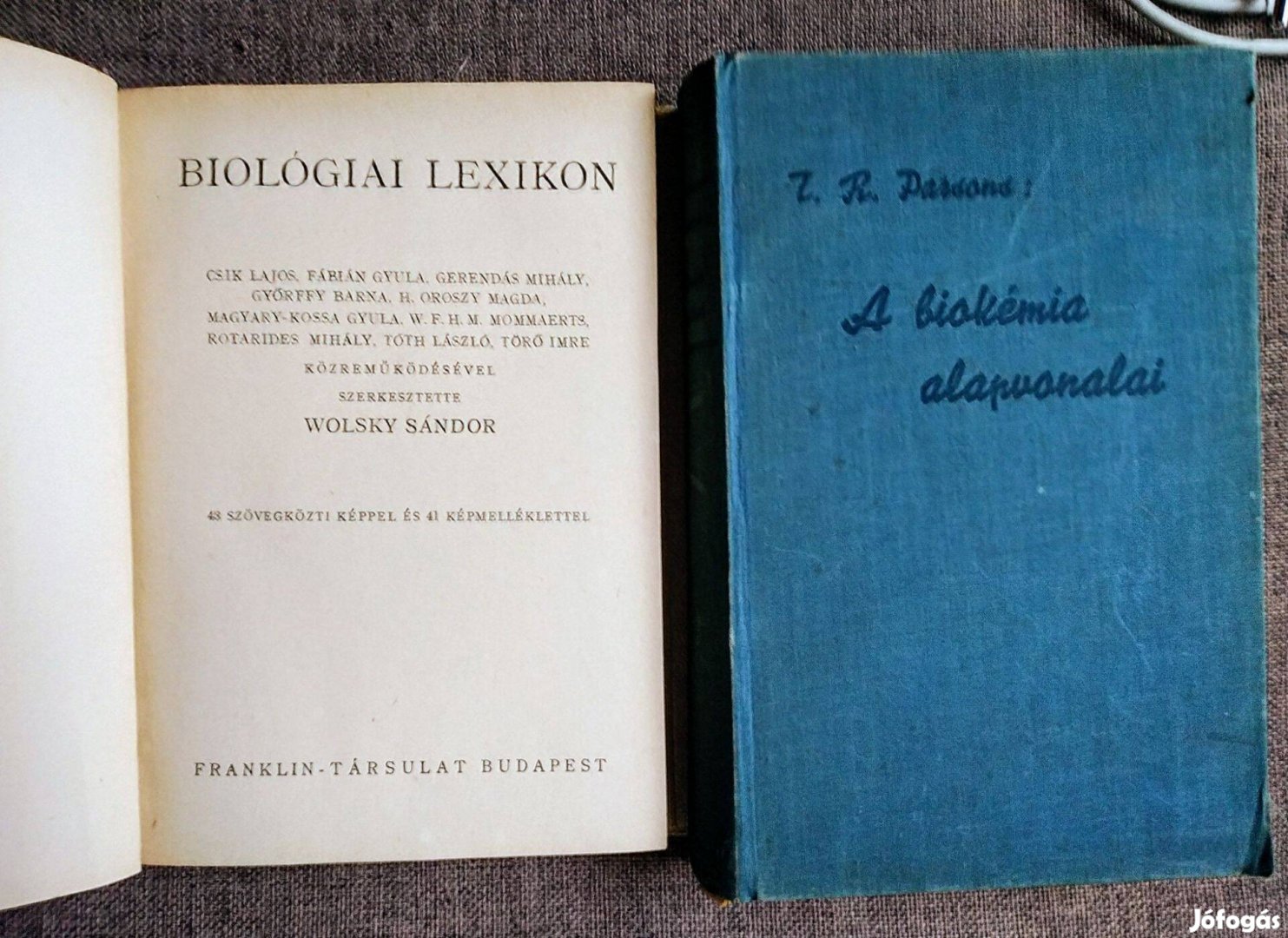 Wolsky Sándor Biológiai lexikon Franklin-Társulat - A Búvár