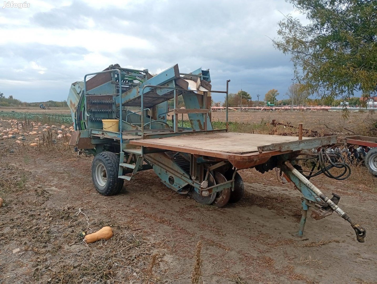 Wühlmaus 644 Burgonyakombájn Krumplikombájn Szedő Kombájn