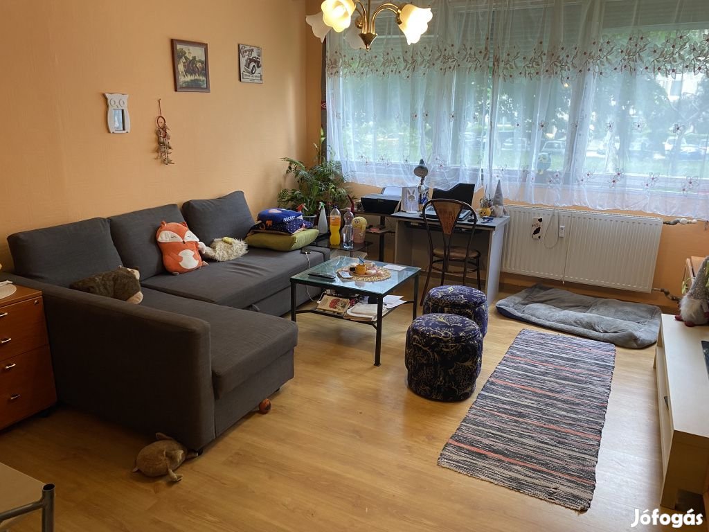XIV. Kerület, Csertő utca, 46 m2-es, földszinti, társasházi lakás