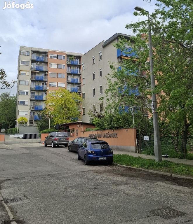 XIV. Kerület, Egyenes utca, 45 m2-es, magasföldszinti, társasházi