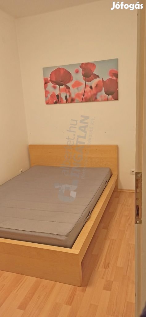 XI.Bocskai úton 2 külön szobás lakás berendezve kiadó
